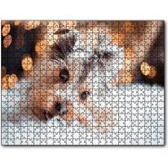 Cakapuzzle Sevimli Yorkshire Terrier Mdf 500 Parça Puzzle