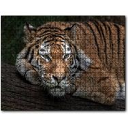 Cakapuzzle Sibirya Kaplanı Dalda Dinleniyor Mdf 120 Parça Puzzle