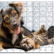 Cakapuzzle Sıkı Dostlar Sevimli Köpek ve Kedicik Mdf 500 Parça Puzzle