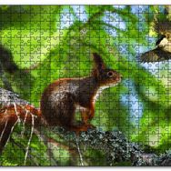 Cakapuzzle Sincap Kuş Muhabbeti Ahşap 255 Parça Puzzle