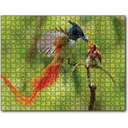 Cakapuzzle Sinekkapan Kuşu Yavrusunu Besliyor Mdf 1000 Parça Puzzle