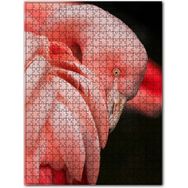 Cakapuzzle Siyah Arkaplan Flamingo Yakın Plan Ahşap 1000 Parça Puzzle