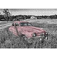 Cakapuzzle Siyah Beyaz Çayırlardaki Eski Kırmızı Araba 120 Parça Ahşap Puzzle