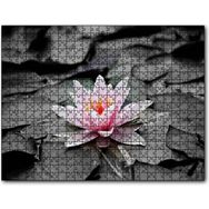 Cakapuzzle Siyah Beyaz Lotus Yaprakları ve Pembe Nilüfer Çiçeği 1000 Parça Puzzle