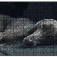Cakapuzzle Siyah Doghound Siyah Zemin Karanlık Arkaplan Mdf 255 Parça Puzzle