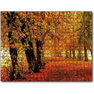 Cakapuzzle Sonbahar Orman Yolu ve Yapraklar 120 Parça Puzzle