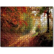 Cakapuzzle Sonbahar Renkleri Yapraklar ve Ormandaki Patika 255 Parça Puzzle