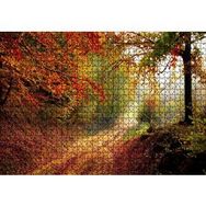 Cakapuzzle Sonbahar Renkleri Yapraklar ve Ormandaki Patika Mdf 1000 Parça Puzzle