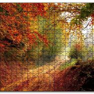 Cakapuzzle Sonbahar Renkleri Yapraklar ve Ormandaki Patika Mdf 120 Parça Puzzle