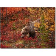 Cakapuzzle Sonbahar Renkli Ormandaki Boz Ayı Mdf 120 Parça Puzzle