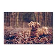 Cakapuzzle Sonbahar Yaprakları Üzerindeki Kahverengi Köpek 120 Parça Puzzle