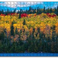 Cakapuzzle Sonbaharın Tüm Renkleri Mdf 1000 Parça Puzzle