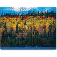 Cakapuzzle Sonbaharın Tüm Renkleri Mdf 120 Parça Puzzle