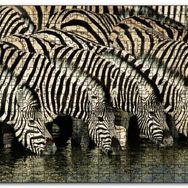 Cakapuzzle Su İçen Zebra Sürüsü Görseli Mdf 120 Parça Puzzle