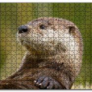 Cakapuzzle Su Samuru Yakın Plan Mdf 120 Parça Puzzle