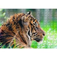 Cakapuzzle Sumatra Kaplanı Yakın Plan 120 Parça Ahşap Puzzle