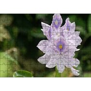 Cakapuzzle Sümbül Yakın Plan 120 Parça Ahşap Puzzle
