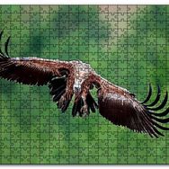 Cakapuzzle Süzülen Dev Akbaba Mdf 120 Parça Puzzle