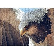 Cakapuzzle Süzülen Kartal Yakın Plan Puzzle