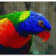Cakapuzzle Swainson Papağanı Yakın Çekim Mdf 500 Parça Puzzle