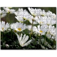 Cakapuzzle Taçlı Beyaz Dağ Laleleri Yakın Çekim Mdf 1000 Parça Puzzle