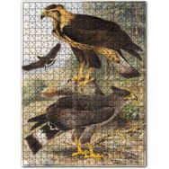 Cakapuzzle Taçlı Sağadet Kartallar Puzzle
