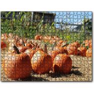 Cakapuzzle Tarlada Toplanmayı Bekleyen Kabaklar Mdf 1000 Parça Puzzle