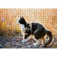 Cakapuzzle Taşların Üzerinde 3 Renk Kedi ve Sarı Otlar Mdf 500 Parça Puzzle
