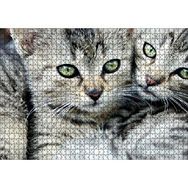 Cakapuzzle Tekir Yavru Kediler 120 Parça Ahşap Puzzle
