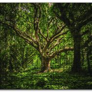 Cakapuzzle Tropik Orman Mdf 120 Parça Puzzle