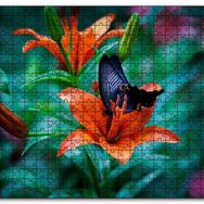 Cakapuzzle Truncu Lilyum Çiçeği ve Mavi Kelebek Görseli Mdf 1000 Parça Puzzle