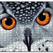 Cakapuzzle Turuncu Gözlü Kar Baykuşu Yakın Plan Mdf 1000 Parça Puzzle
