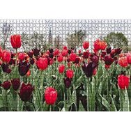 Cakapuzzle Turuncu ve Mor Laleler 1000 Parça Puzzle