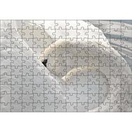 Cakapuzzle Tüylerini Temizleyen Zarif Beyaz Kuğu 120 Parça Ahşap Puzzle