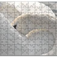 Cakapuzzle Tüylerini Temizleyen Zarif Beyaz Kuğu Mdf 255 Parça Puzzle