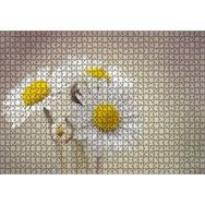 Cakapuzzle Üç Papatya Yakın Çekim Flu Arkaplan 120 Parça Ahşap Puzzle