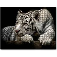 Cakapuzzle Uyuklayan Beyaz Kaplan Karanlık Arkaplan Mdf 500 Parça Puzzle