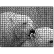 Cakapuzzle Uyuklayan Kutup Ayısı Mdf 1000 Parça Puzzle
