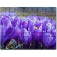 Cakapuzzle Yaban Hayat Leopar Hayvan Görseli 500 Parça Puzzle