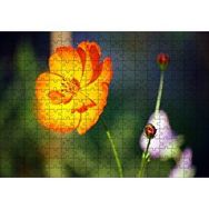 Cakapuzzle Yabani Portakal Çiçeği 120 Parça Ahşap Puzzle