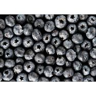 Cakapuzzle Yabanmersini Meyveleri Yanaşık Düzen 120 Parça Ahşap Puzzle