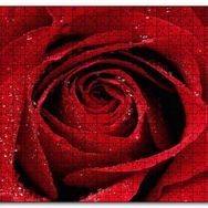Cakapuzzle Yağmur Damlası ve Güzel Gül Fotoğrafı Mdf 120 Parça Puzzle