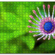 Cakapuzzle Yakın Çekim Çiçek Yeşil Flu Arkaplan Mdf 500 Parça Puzzle