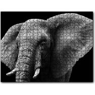 Cakapuzzle Yakın Plan Fil Siyah Beyaz 500 Parça Puzzle