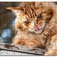 Cakapuzzle Yalanan Sarı Sevimli Kedi Mdf 1000 Parça Puzzle