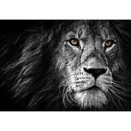 Cakapuzzle Yalnız Kral Erkek Aslan Yakın Portre Siyah Beyaz 120 Parça Puzzle