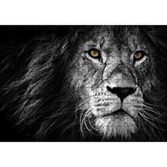 Cakapuzzle Yalnız Kral Erkek Aslan Yakın Portre Siyah Beyaz 255 Parça Puzzle