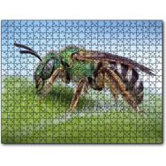 Cakapuzzle Yaprağın Üzerindeki Yaban Arısı Makro Çekim Mdf 120 Parça Puzzle
