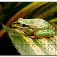 Cakapuzzle Yaprak Üzerinde Dinlenen Yeşil Kurbağa Mdf 120 Parça Puzzle