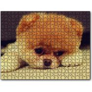 Cakapuzzle Yavru Chow Ahşap 255 Parça Puzzle